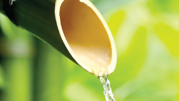 Manfaat Air Bambu